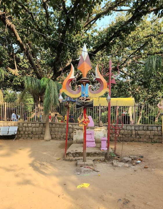 आसपास की प्रकृति
